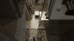 Двери в душевую нишу (в проём)