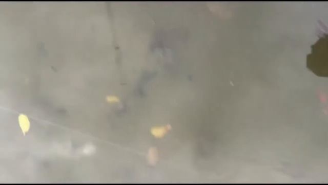 Воблер Minnow смотреть онлайн