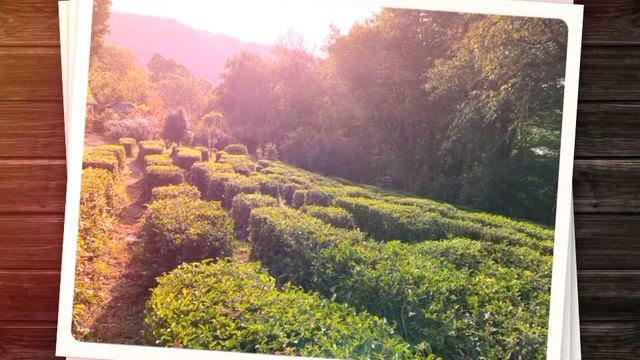 Музей усадьба Кошмана