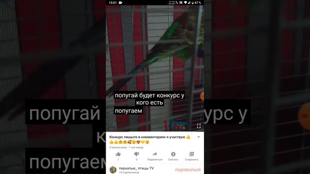 проверяю сколько у нас есть участников первый участник смотреть онлайн