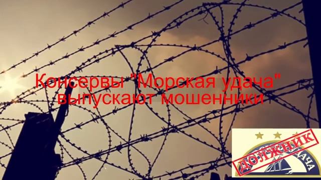 Должник предлагает купить кильку в томатном соусе оптом