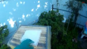 пчеловодство, безумная жара на пасеке