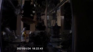 50 minutes of an aquarium with fishes and plastic aquatic plant spinning around,With no sound Enjoy