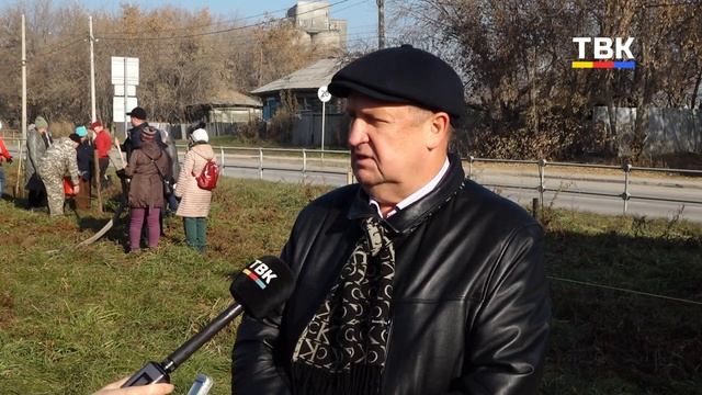 Искитим “зеленеет”: более тысячи деревьев посадили горожане за год