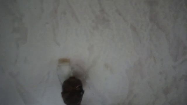 что можно сделать из шланга для душа смотреть онлайн