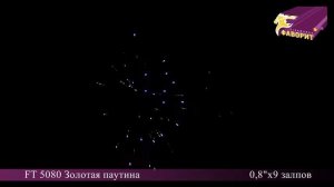 Батарея салютов 'Золотая паутина' FT 5080