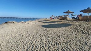 Albatros 5* resort Альбатрос отель