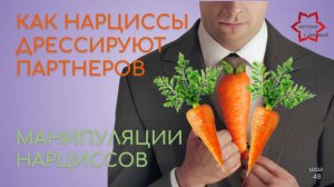 Как нарцисс дрессирует жертву? Что предлагает вам нарцисс? Что такое морковка нарцисса?