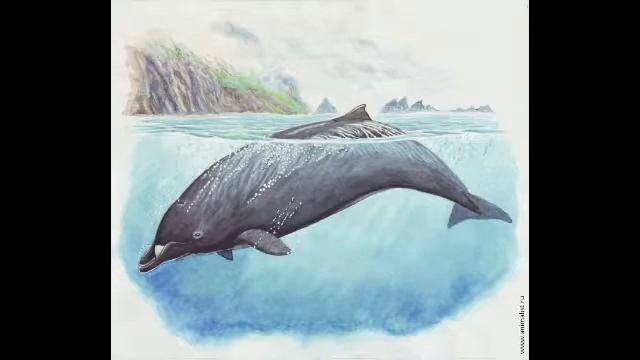 "О чём поют тупорылые ремнезубы" /В. Галутин и С. Егерев/-10.09.19. смотреть онлайн