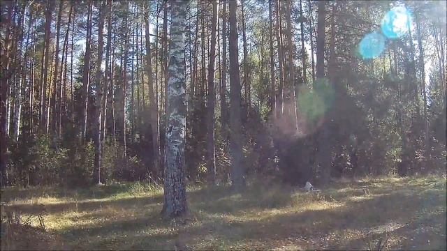 Люлих сентябрь 23 рыбалка Олег и Коля нырял Андрей смотреть онлайн