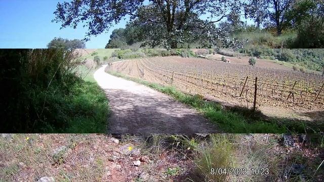 Пеший поход в фото( посвящен рождению внучки Софии)Cartaxo, V N de Sao Pedro, Alforgemel, Almoster смотреть онлайн