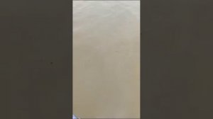 сазан на блесну