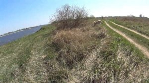 охота и рыбалка