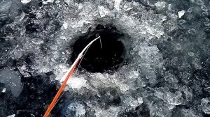 Ловля ротана на блесну часть 1