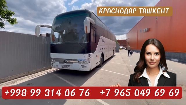 Краснодар Ташкент автобус #краснодар #ташкент #автобус