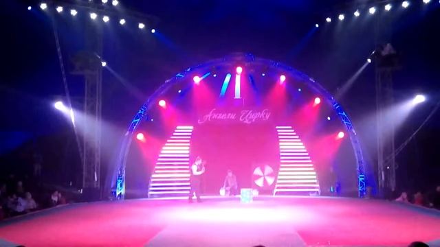 Звери в цирке Кобзов. Дети на каникулах в Киеве. смотреть онлайн