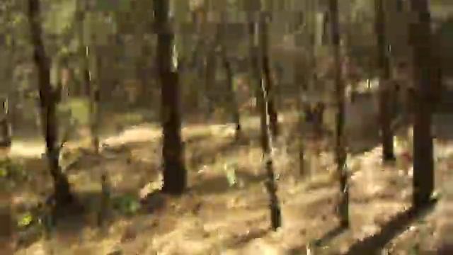 Молодой оператор 1 смотреть онлайн