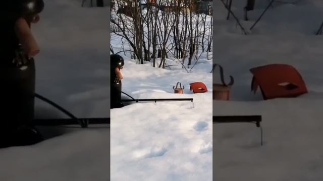 Приход хранителей грядок и теплиц⛄#cold #chill #snow #будни #дача #деревня #сад #арт #soul смотреть онлайн