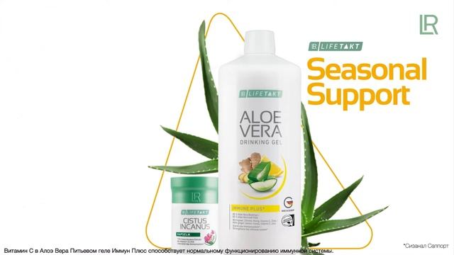 Поддержка иммунитета смотреть онлайн