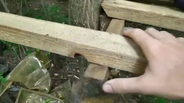 24 часа питаюсь дошиком. Набрал  массу? Что будет если 24 часа питаться дошиком!?2020