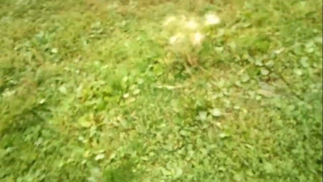 Полный обзор ваз 2115 смотреть онлайн