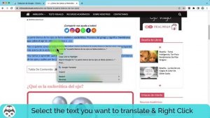 Google Translate Chrome Extension - Install and Use