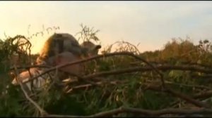 Охота на канадского гуся на лугах в Онтарио. Охота в Новом Свете 46.