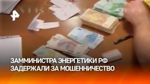 Действующего и бывшего заместителей министра энергетики РФ задержали за мошенничество / РЕН