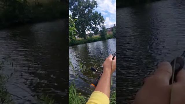 Рыбалка на микроджиг. Рыбалка эмоция. Карп за хвост. Этот карп просто сделал рыбалку.