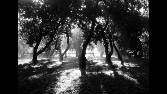 Drone/Ambient