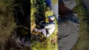Рыбалка на собственном пруду.