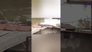 сборные приколы