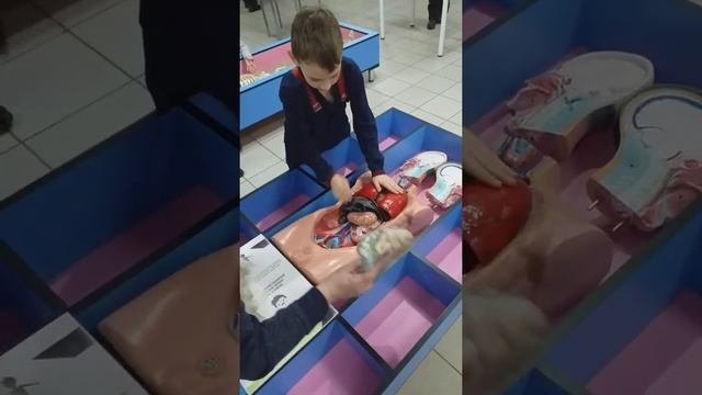 Выставка 