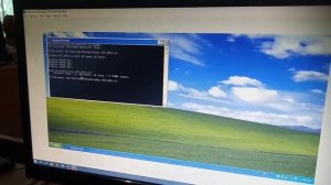 Konfigurasi DNS di Debian 8 dan Windows XP