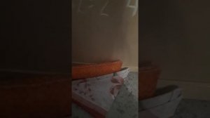 ,,,басики идут в школу''.        В ШКОЛЕ ПОЖАР?