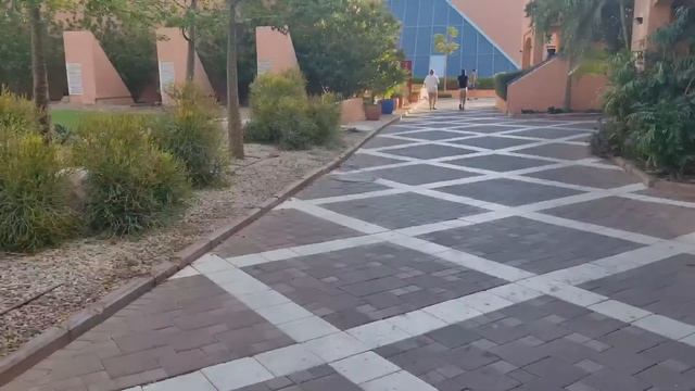 Влог//парк птиц в Эйлате//крайний день отдыха//приехали домой ,а тамммм......// смотреть онлайн