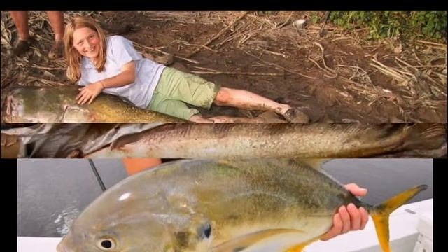 Рыбалочка. рыбалка красивый улов. beautiful catch