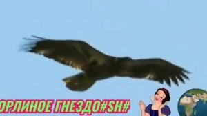 А.Маршал. "Не улетай."