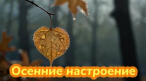 Осень навеяла эту песню. #музыка #рок