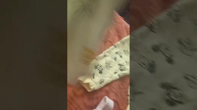 Собираю Боню в садик!Мини влог!💗👶 смотреть онлайн