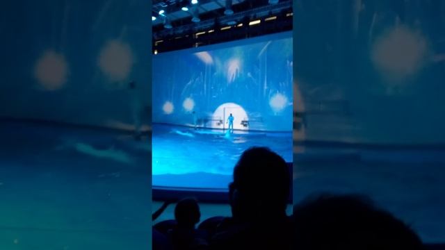 Океанариум Екатеринбурга 2023