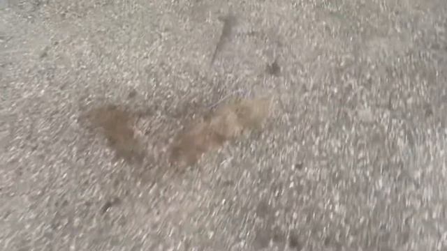 Modifying the uprights to the gantry crane part 2 смотреть онлайн