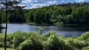 Домик над рекой. Сл и муз Мельникова В.