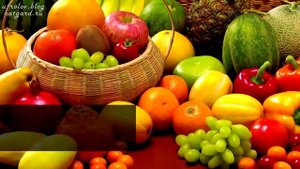 Видовое питание человека  9 причин болезней, ч 2  Еда и Жизнь  Фролов Ю А