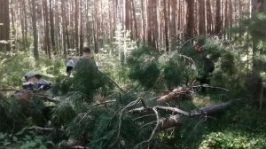подготовка к соревнованиям по спортивному ориентированию на местности в очурском бору