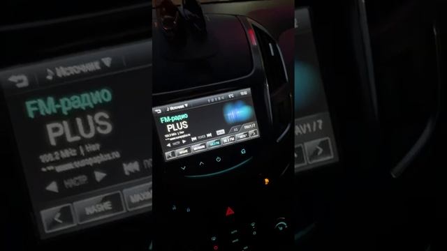 Кот напал на полицейских смотреть онлайн