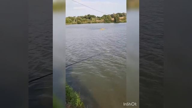 #рыбалка #поймалотпусти #отдых #здоровоотдохнули