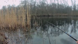 Апрель. ПЕРВАЯ ПЛОТВА И ЩУКА НА УДОЧКУ
