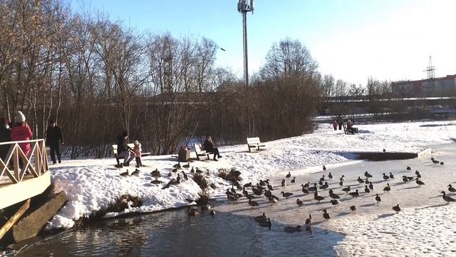 Пруд на речке Люльченке в феврале - Юго - Западный район, город Киров.