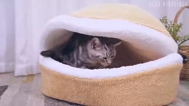 КРУТЫЕ ВЕЩИ С АЛИЭКСПРЕССА смотреть онлайн